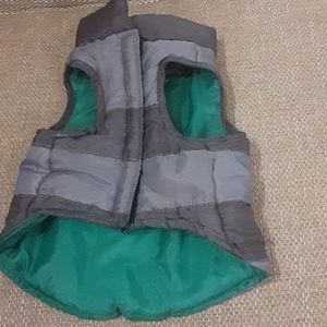 Puppy vest